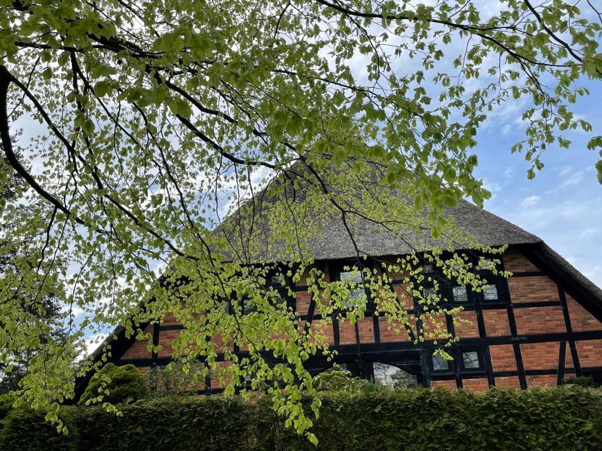 Ferienwohnung St. Dionyser Heidedorf Sankt Dionys Exterior photo